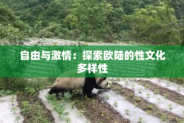 自由与激情：探索欧陆的性文化多样性