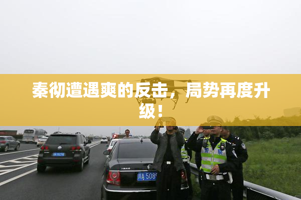秦彻遭遇爽的反击，局势再度升级！