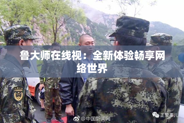鲁大师在线视：全新体验畅享网络世界