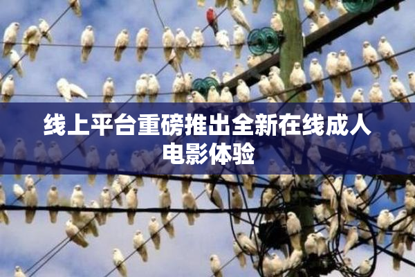 线上平台重磅推出全新在线成人电影体验