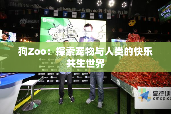 狗Zoo：探索宠物与人类的快乐共生世界