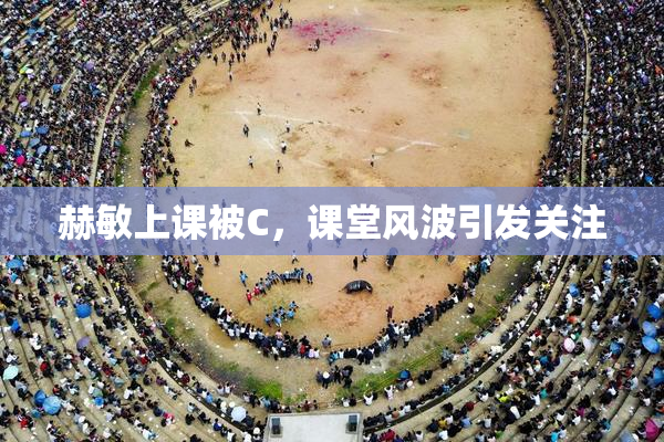 赫敏上课被C，课堂风波引发关注