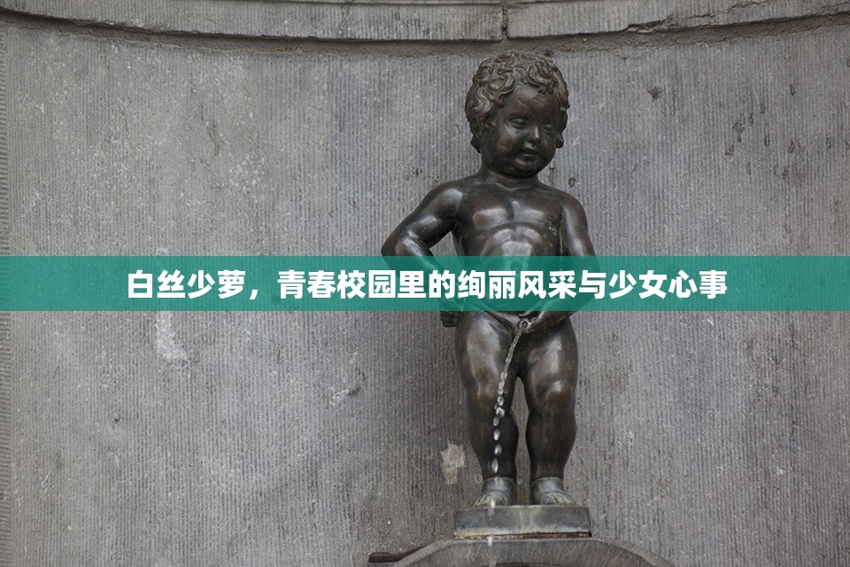 白丝少萝，青春校园里的绚丽风采与少女心事
