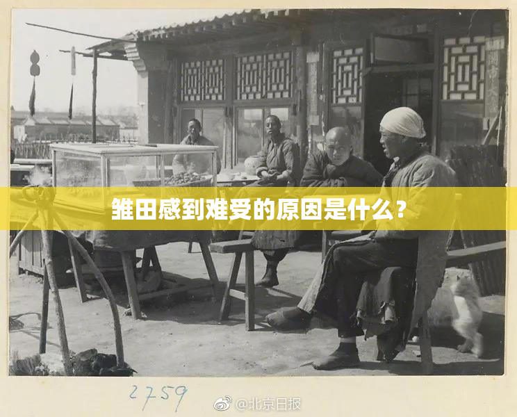 雏田感到难受的原因是什么？