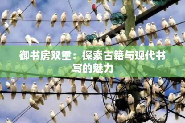 御书房双重：探索古籍与现代书写的魅力