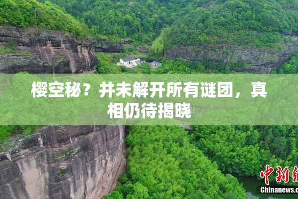 樱空秘？并未解开所有谜团，真相仍待揭晓