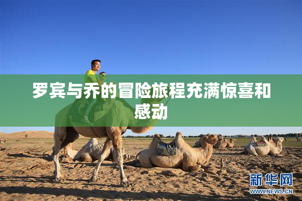 罗宾与乔的冒险旅程充满惊喜和感动
