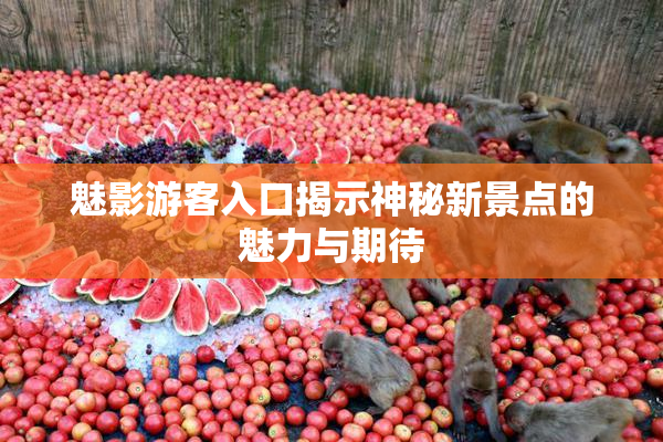 魅影游客入口揭示神秘新景点的魅力与期待