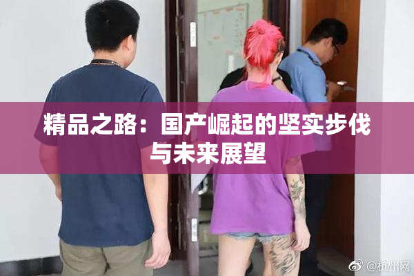精品之路：国产崛起的坚实步伐与未来展望