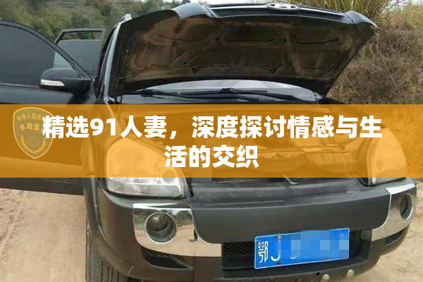 精选91人妻，深度探讨情感与生活的交织