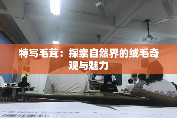 特写毛茸：探索自然界的绒毛奇观与魅力