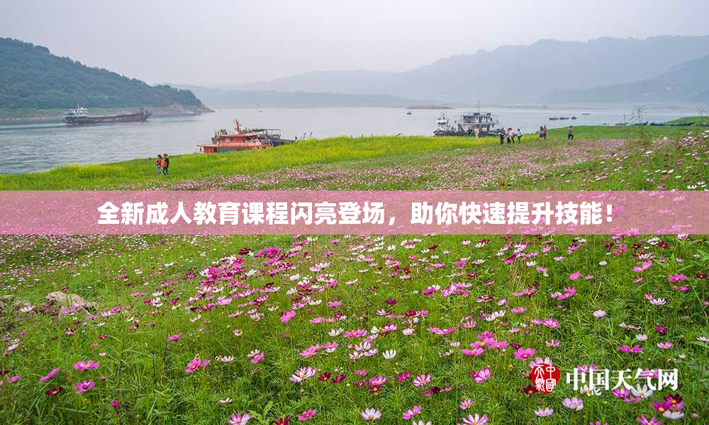 全新成人教育课程闪亮登场，助你快速提升技能！