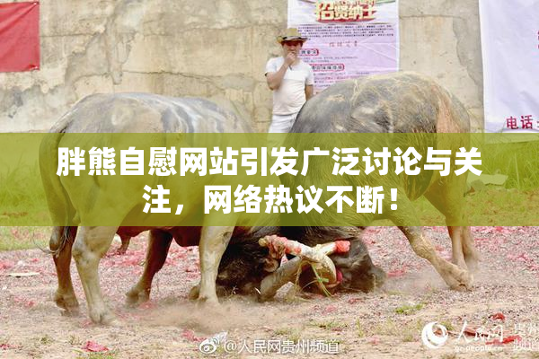 胖熊自慰网站引发广泛讨论与关注，网络热议不断！
