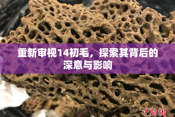 重新审视14初毛，探索其背后的深意与影响