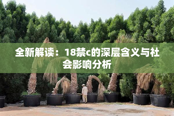 全新解读：18禁c的深层含义与社会影响分析