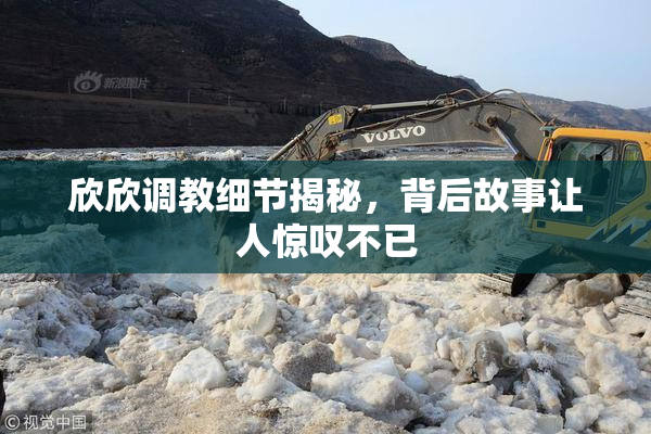 欣欣调教细节揭秘，背后故事让人惊叹不已