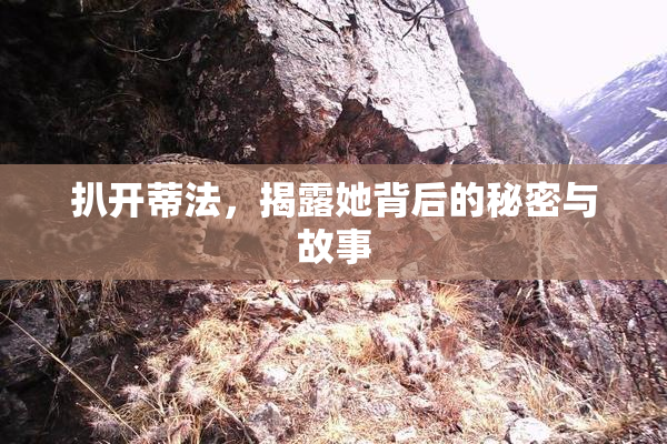 扒开蒂法，揭露她背后的秘密与故事