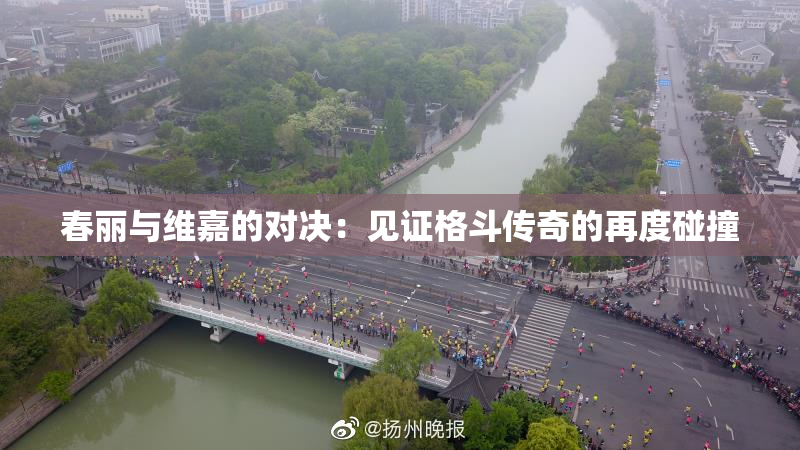 春丽与维嘉的对决：见证格斗传奇的再度碰撞