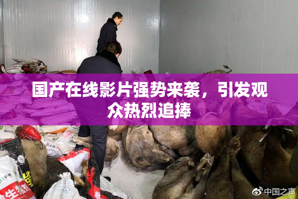 国产在线影片强势来袭，引发观众热烈追捧