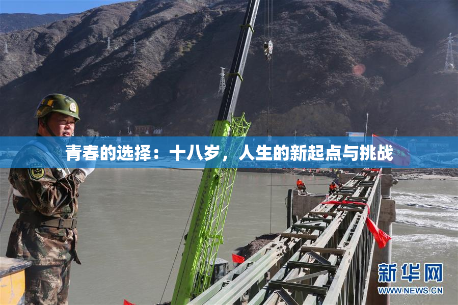 青春的选择：十八岁，人生的新起点与挑战