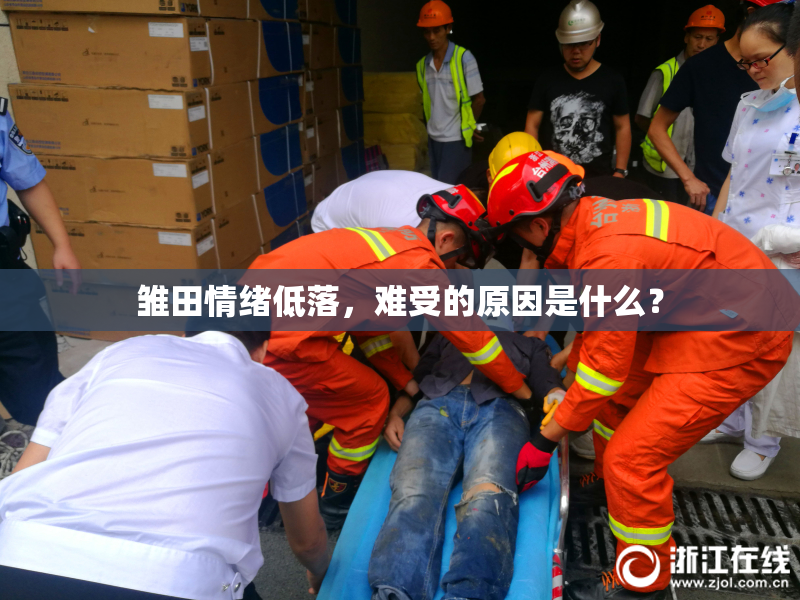 雏田情绪低落，难受的原因是什么？