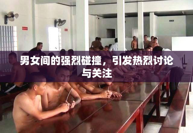 男女间的强烈碰撞，引发热烈讨论与关注