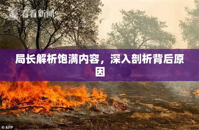 局长解析饱满内容，深入剖析背后原因