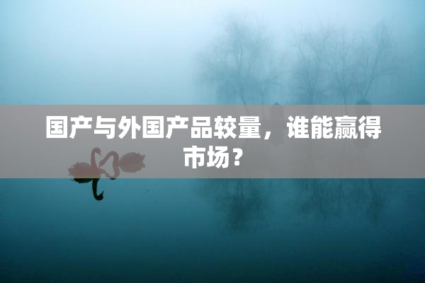 国产与外国产品较量，谁能赢得市场？