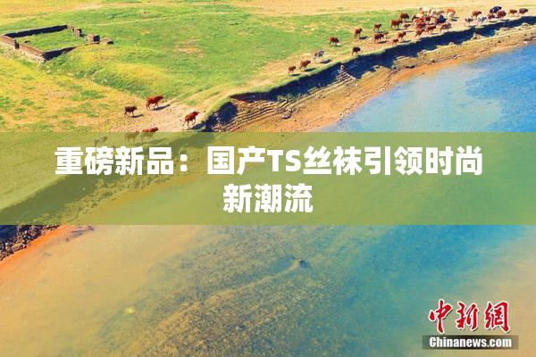 重磅新品：国产TS丝袜引领时尚新潮流