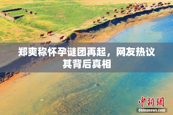 郑爽称怀孕谜团再起，网友热议其背后真相