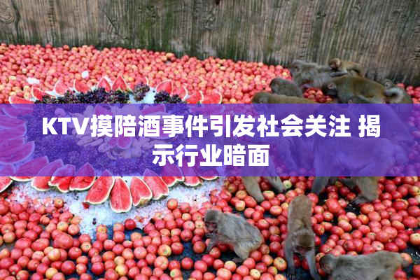 KTV摸陪酒事件引发社会关注 揭示行业暗面