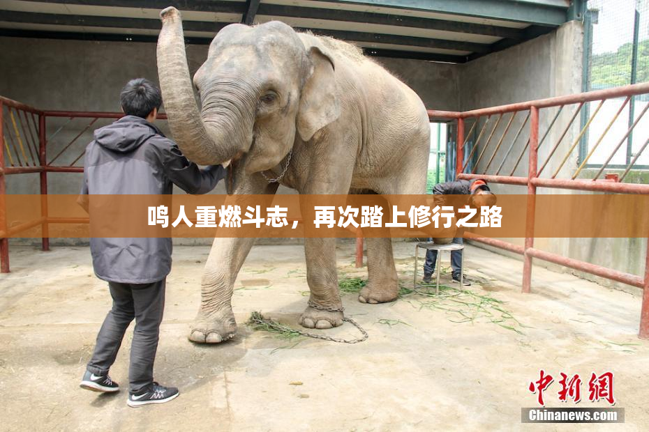 鸣人重燃斗志，再次踏上修行之路