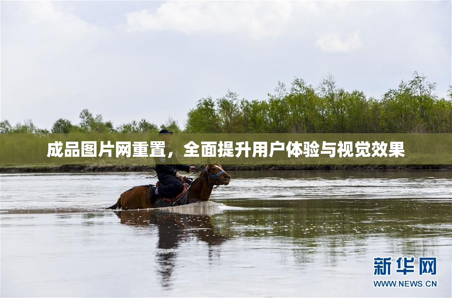 成品图片网重置，全面提升用户体验与视觉效果