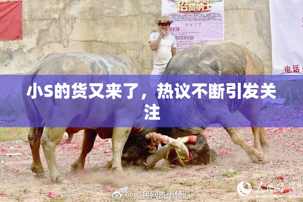 小S的货又来了，热议不断引发关注