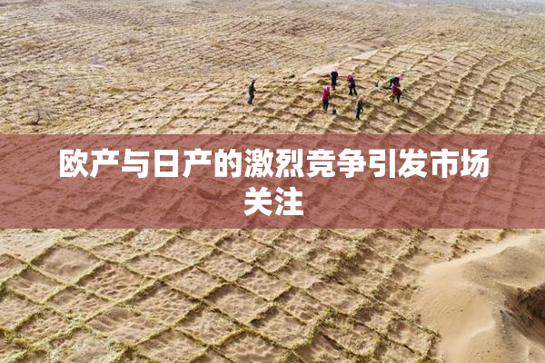 欧产与日产的激烈竞争引发市场关注
