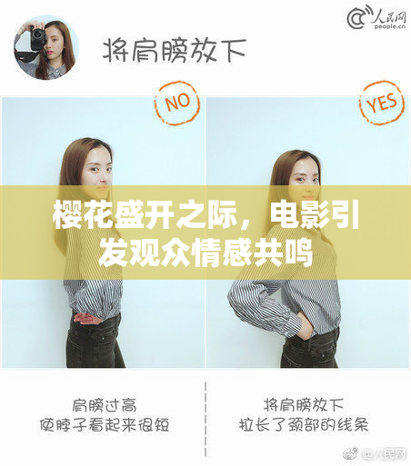 樱花盛开之际，电影引发观众情感共鸣