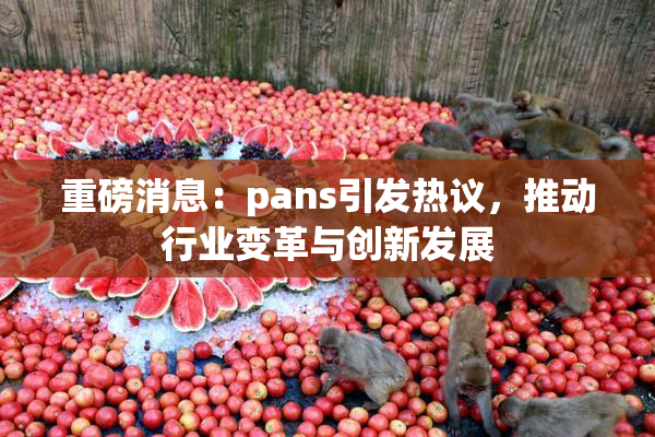 重磅消息：pans引发热议，推动行业变革与创新发展