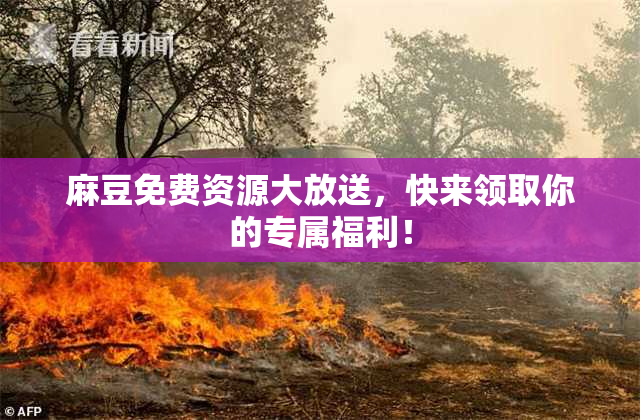 麻豆免费资源大放送，快来领取你的专属福利！