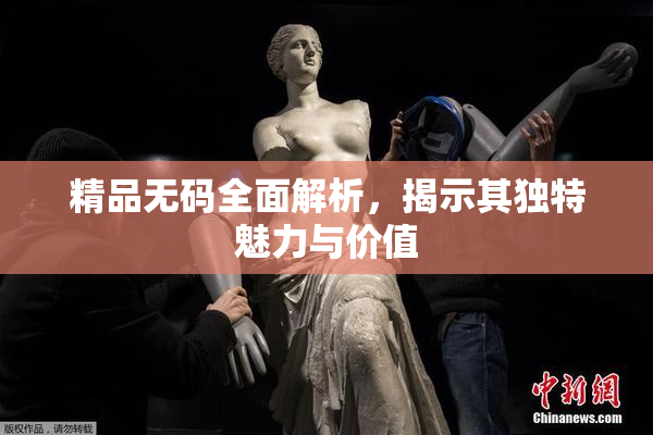 精品无码全面解析，揭示其独特魅力与价值