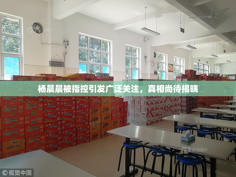 杨晨晨被指控引发广泛关注，真相尚待揭晓