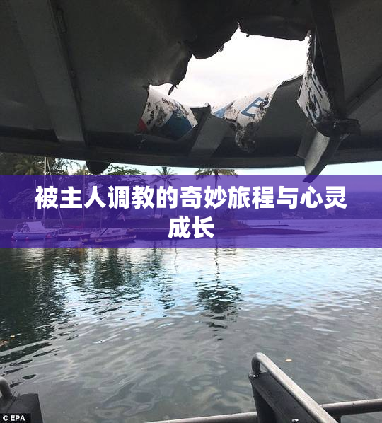 被主人调教的奇妙旅程与心灵成长