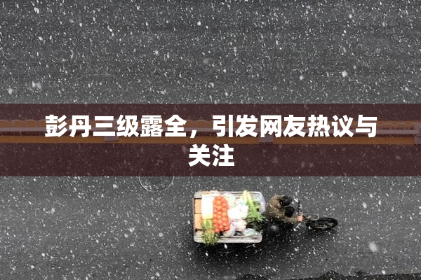 彭丹三级露全，引发网友热议与关注