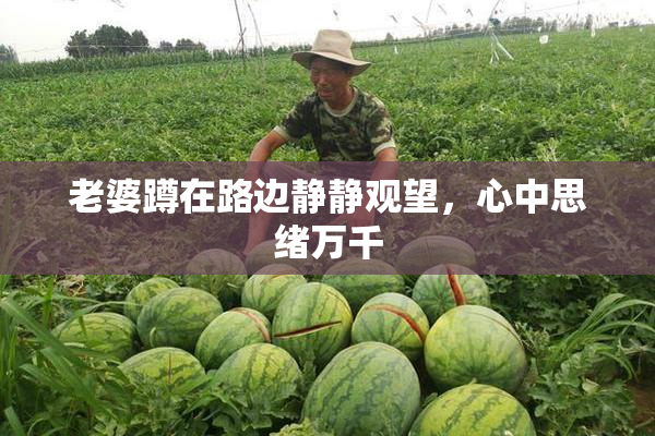 老婆蹲在路边静静观望，心中思绪万千