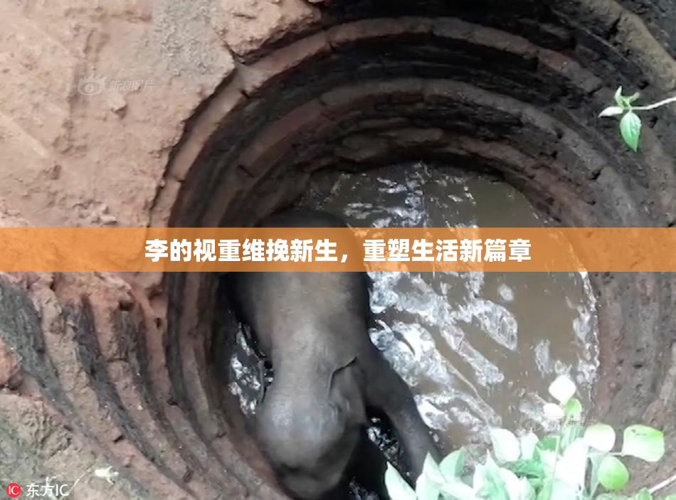 李的视重维挽新生，重塑生活新篇章