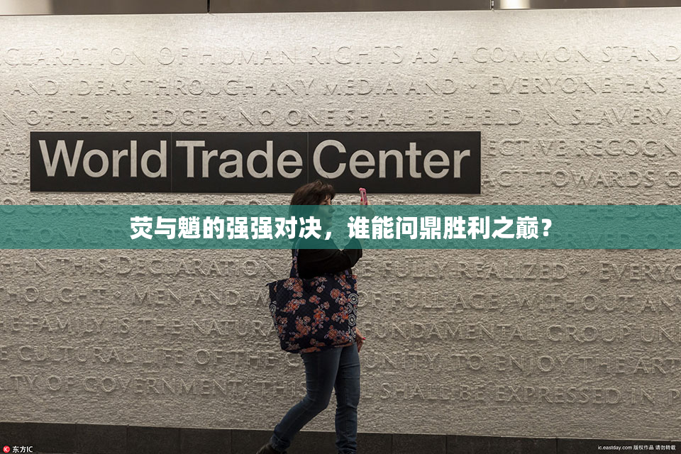 荧与魈的强强对决，谁能问鼎胜利之巅？