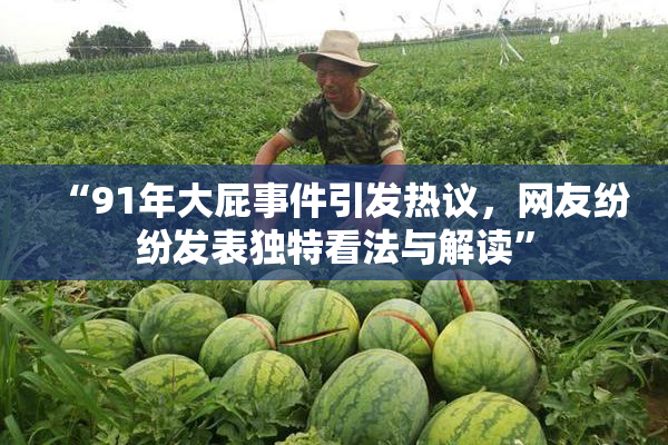 “91年大屁事件引发热议，网友纷纷发表独特看法与解读”