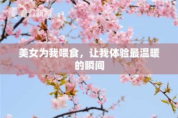 美女为我喂食，让我体验最温暖的瞬间
