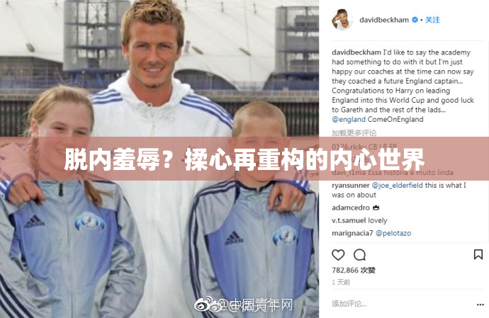 脱内羞辱？揉心再重构的内心世界