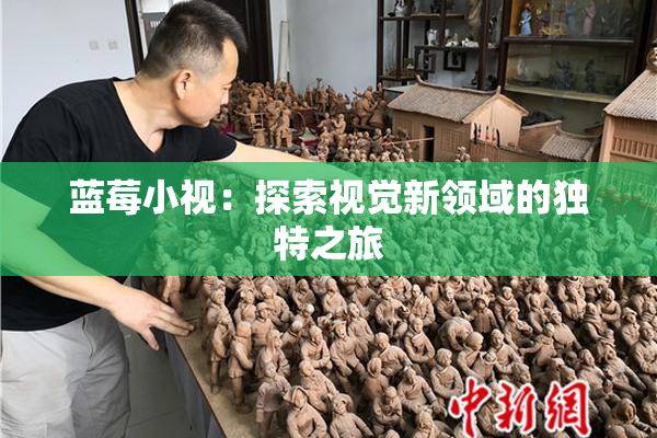 蓝莓小视：探索视觉新领域的独特之旅