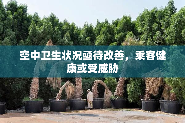 空中卫生状况亟待改善，乘客健康或受威胁